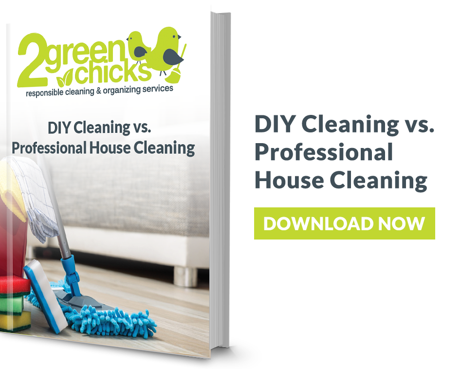 DIY Cleaning vs. Professional House Cleaning