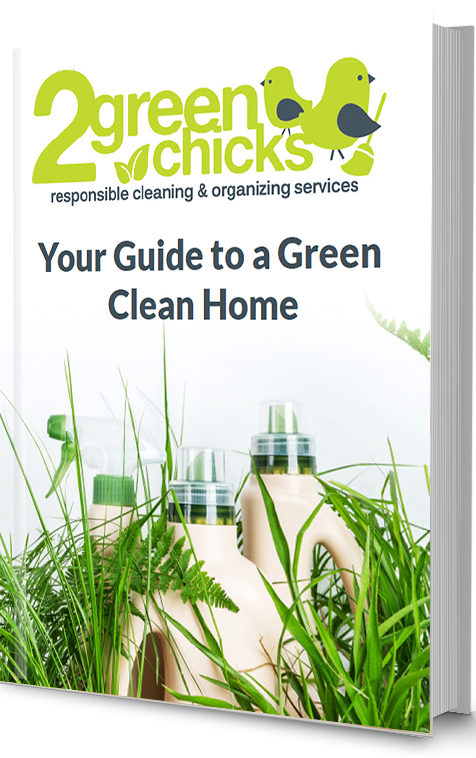 ebook cover with green cleaning products